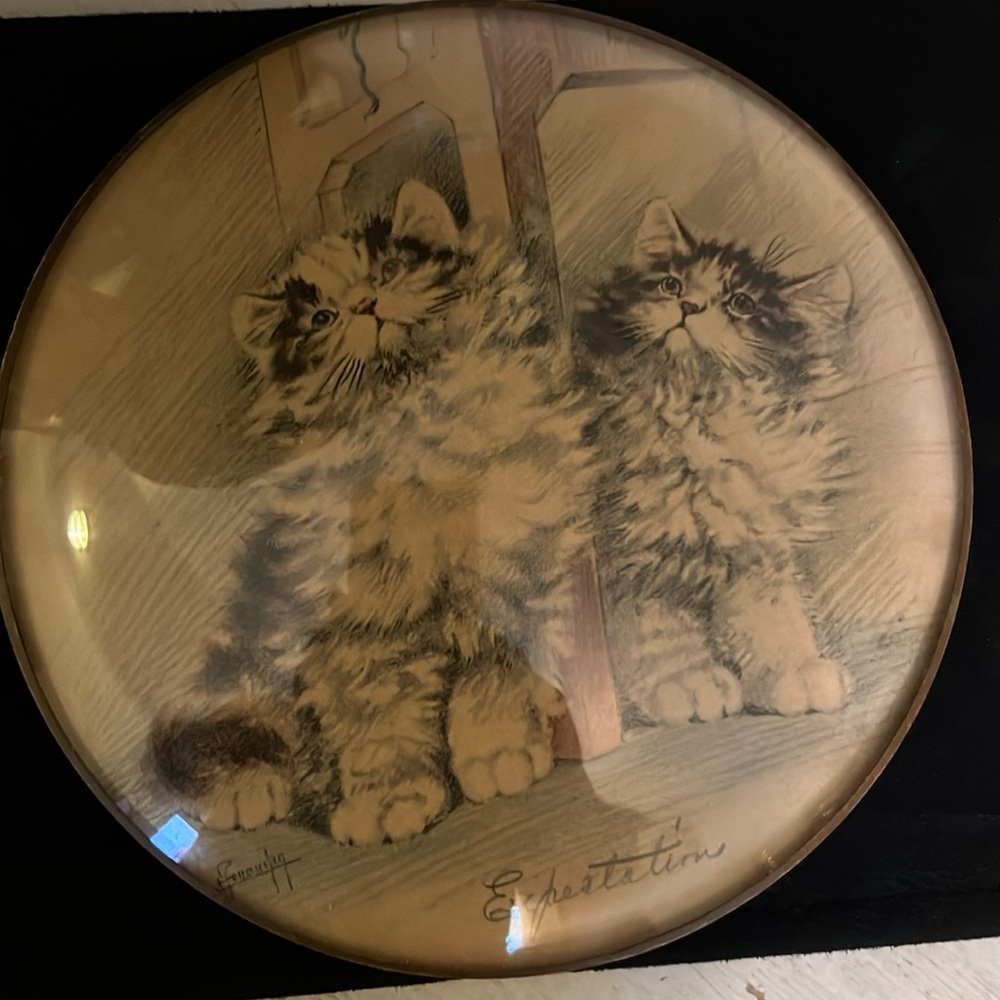 Vintage Peter Watson Studio Cats convex bubble glass “expectations”